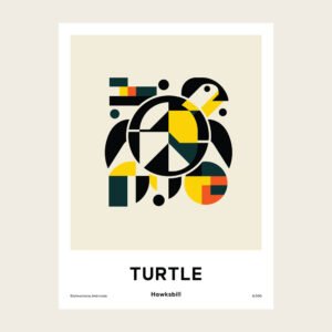 Hawksbill Turtle