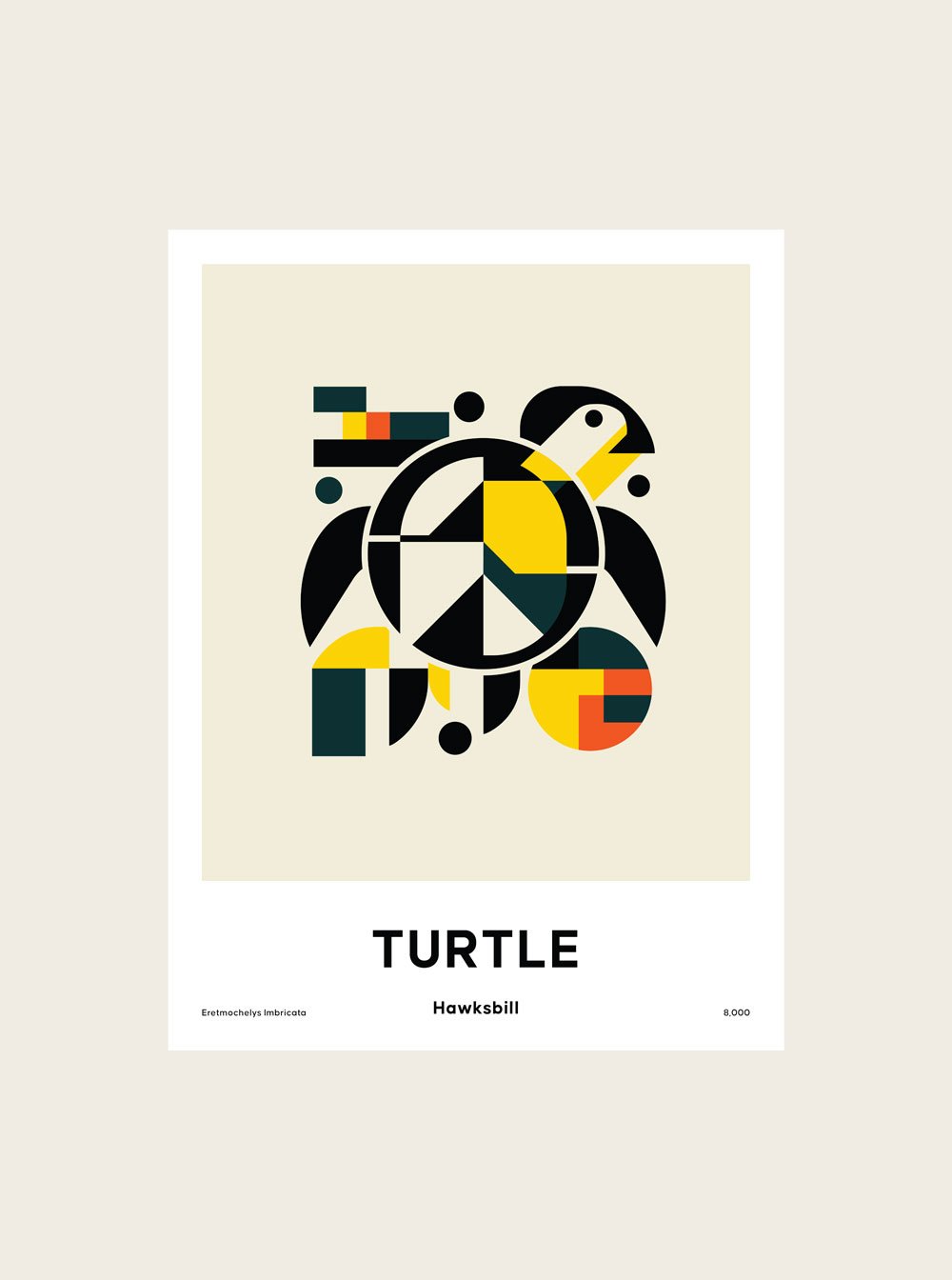 Hawksbill Turtle