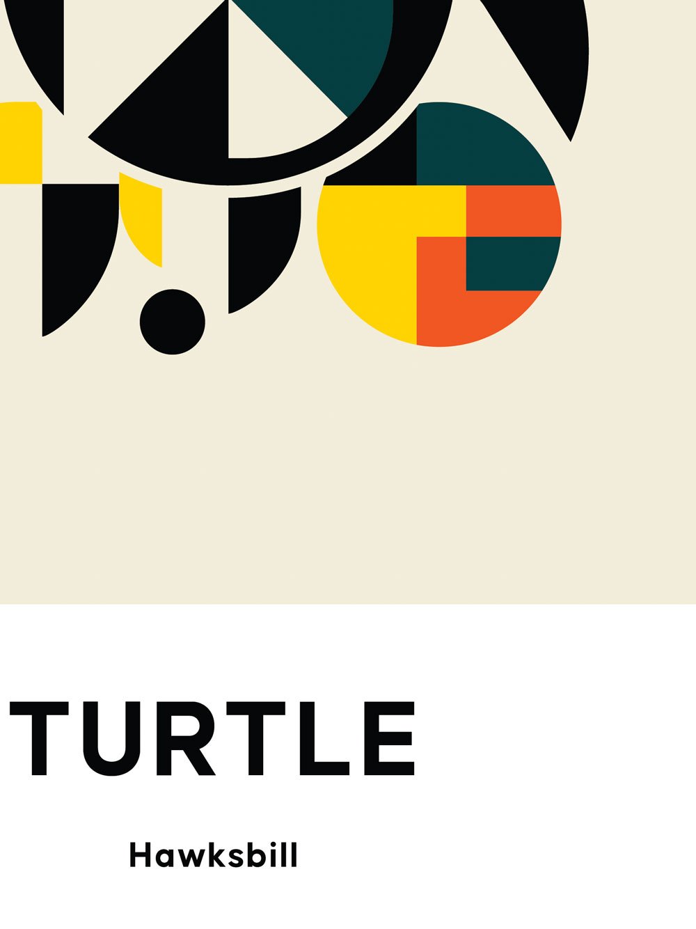 Hawksbill Turtle - Image 4