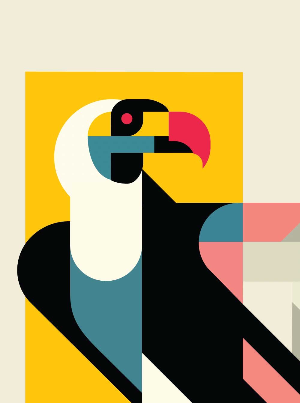 California Condor - Image 3