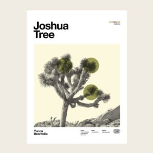 Joshua Tree